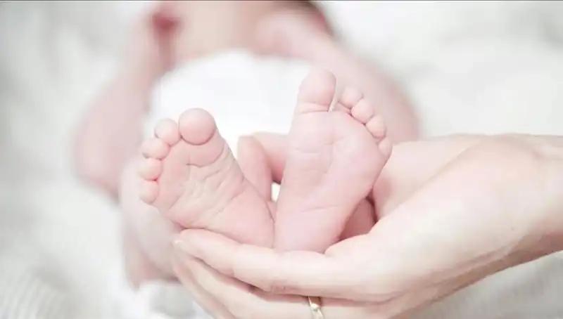 Yeni Çalışma İle Elde Edilen Sağlıklı Yaşam Sırları: Bilimsel Araştırmalar