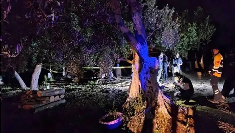 Çiftlikte Baltalı Vahşetin Ardından Şok Tutuklama: Sır Perdesi Aralanıyor!