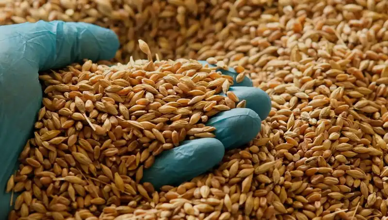 Kalp Hastalığı Riskini Azaltan Beslenme Alışkanlıkları: Uzmanından Tüyolar