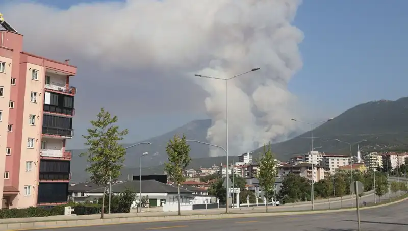Denizli'de Korkutan Orman Yangını: Yangının Ardındaki Şüpheli Gözaltında