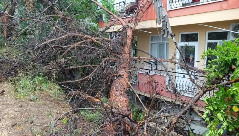 Yağmurun Kurbanı Oldu: Bina Çöktü, Halk Şokta!