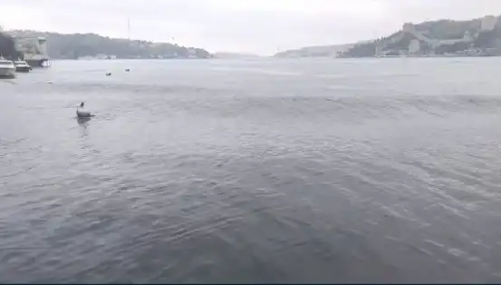 İstanbul’da Şok Eden Deprem: 6,2 Büyüklüğünde Dalgalı Sular!