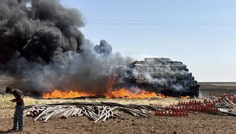 Mardin'de Korkutan Anız Yangını! Yangın Kontrol Altına Alındı mı?