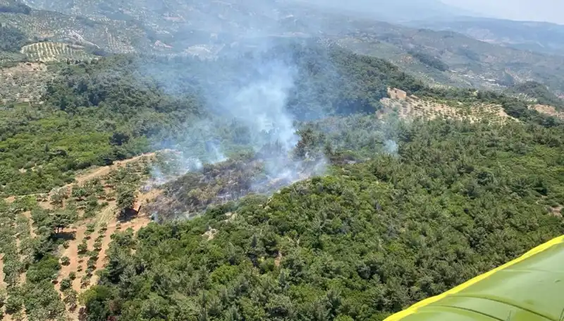 Aydın’da Korkutan Orman Yangını: Şu Anki Durum ve Genel Değerlendirme