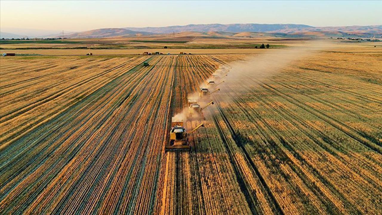 Tarımsal Destekleme Ödemeleri Çiftçilere Yatırıldı