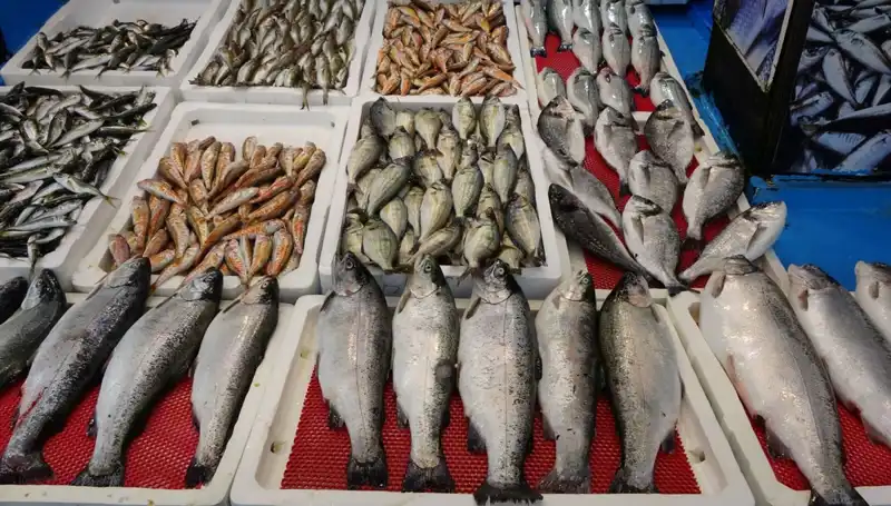 Yasak Başladı: Tezgâhlar Artık Onlarla Dolu
