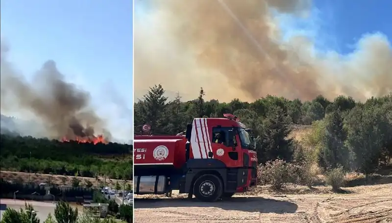 Gebze'de Orman Yangını: Doğa ve Yaşam Tehdit Altında!