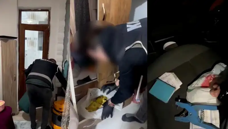 Hayvan Sevk Belgesi Usulsüzlüğü: Dokuz Gözaltı ile Büyük Operasyon