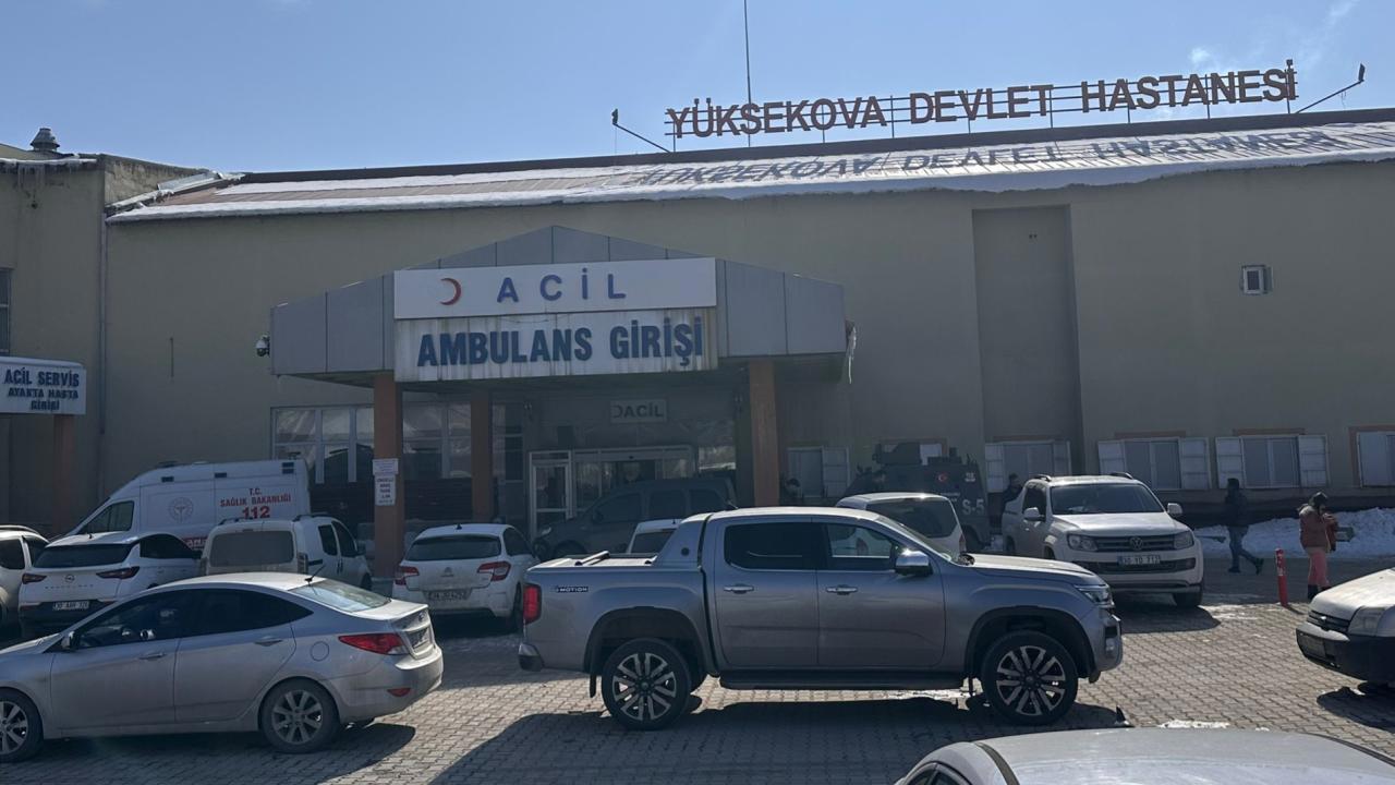 Köpek saldırısında ölen çocuk için müfettiş görevlendirildi!