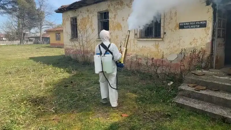 Çiftçiler Kahverengi Kokarca ile Mücadele İçin Seferber Oldu: Önlemler ve Çözümler
