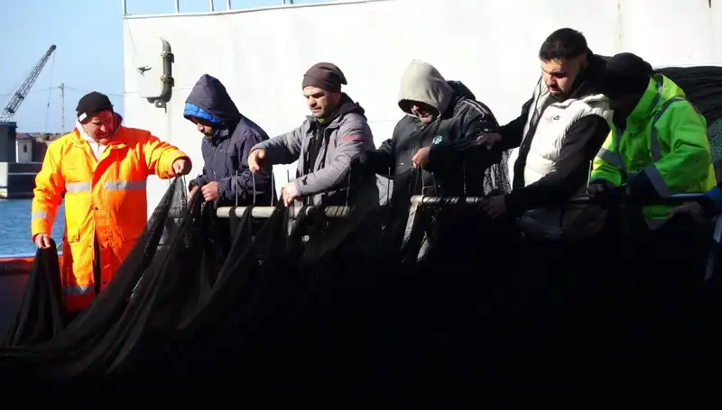 Denizlerde Hamsi Avında Sonuç Kayıplar: Tekne Sahipleri Erken Veda Ediyor!