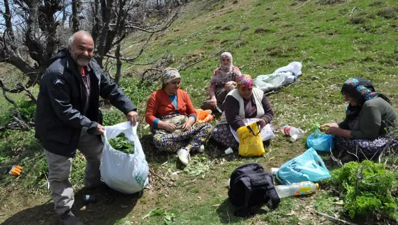 Dört Taktikle Doğal Yiyecek Toplayanların Hayatı: Mantarın Peşinde 5 Saatlik Yolculuk