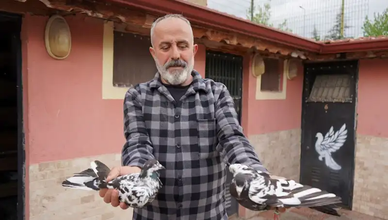 42 Yılda Gelişen Hobi, Şimdi Bir Profesyonel Tesiste Hayat Buldu