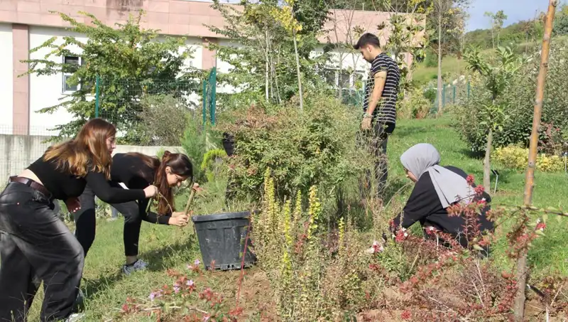 Düzce'nin Yıldızı: Hayaldan Gerçeğe Dönüşen İşletme Hikayesi