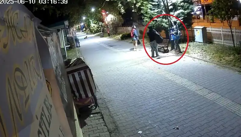 Aydınlatma Direklerindeki LED Işıklarının Hırsızlığı: 300 Bin TL Zarar Açıklandı