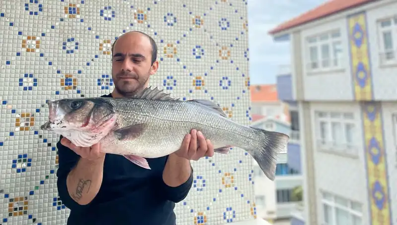 Okyanusun Derinliklerinden Çıkan 7,5 Kiloluk Dev Levrek Şaşırttı
