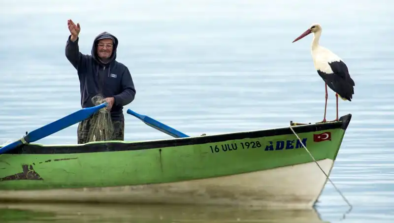 Yaren Leylek Geldi mi? Leyleklerin Sıcak Yazı Müjdeleyişi!