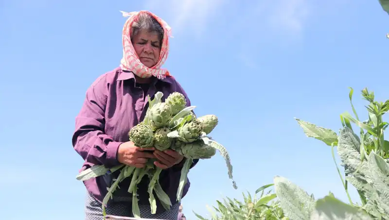 Taze Sebzelerde Fiyat Şoku: Tezgahlarda Tanesi 50 TL Olmuşken