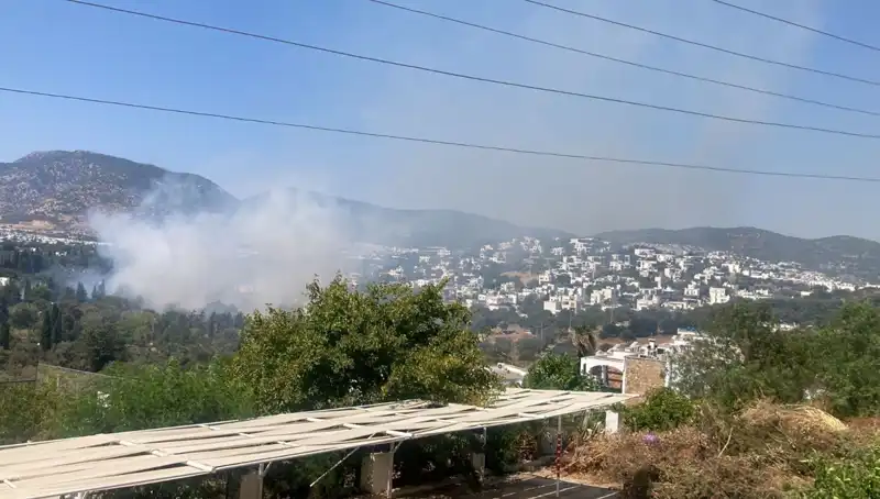 Muğla Orman Yangınlarında Mücadele Başarıyla Sürüyor: Kontrol Altına Alındı