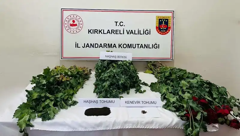 Kırklareli'nde Dev Uyuşturucu Operasyonu: 8 Gözaltı ile Sarsıcı Detaylar