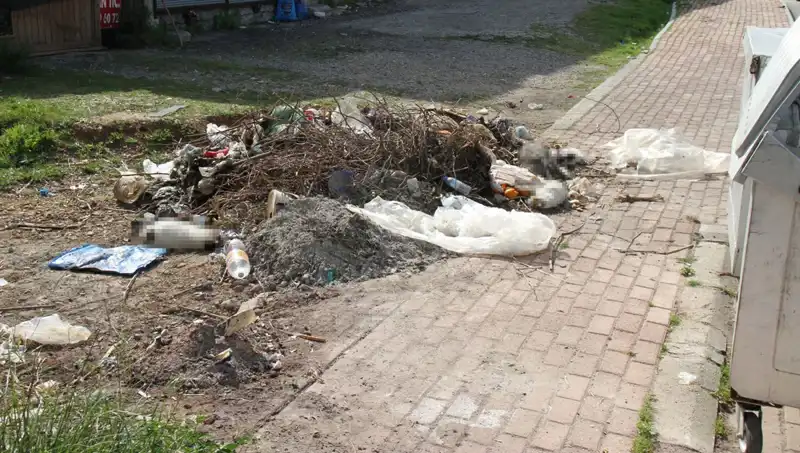 Antalya'da 10 Kedi Ölü Bulundu, Vahşet Ortaya Çıktı