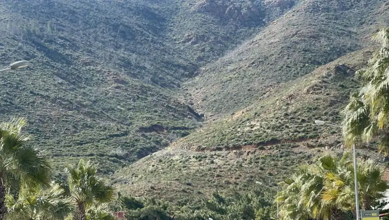 Marmaris Ormanı, Yangından Sonra Yeniden Hayat Buldu!