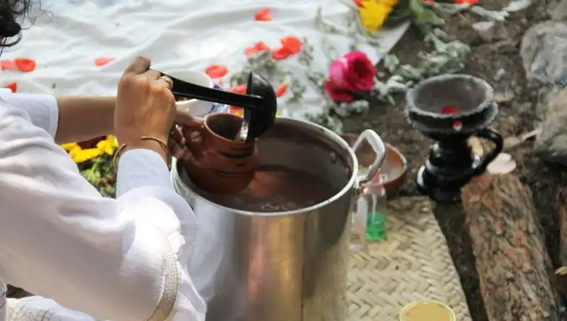 Ayahuasca: Şamanların Gizemli Çayı ve Yasal Durumu Nedir?