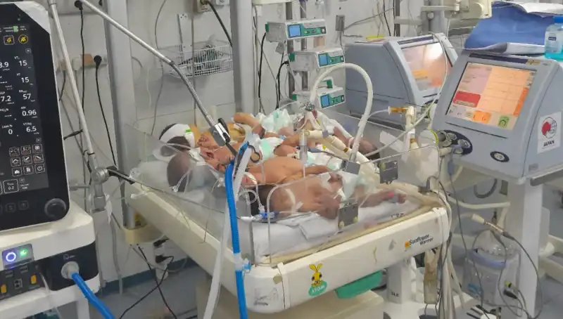 Gazzeli Doktorların Çağrısı: "Birden Fazla Bebek Aynı Kuvözde Yaşıyoruz"
