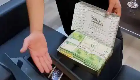 Manavgat Belediyesi'ne Düzenlenen Operasyonda Baklava Kutularından Tüccar Avroları Çıktı