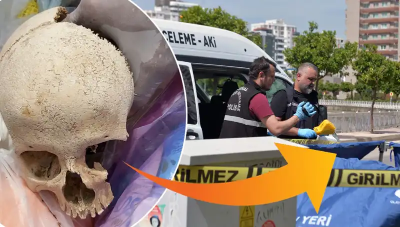 Sitenin Çöpünden Kafatası Çıktı: Uzman Doktor Gözaltında