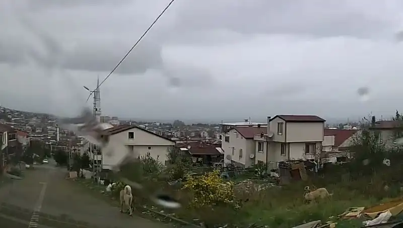 Sahipsiz Köpeklerin Saldırısı: 5 Yaşındaki Çocuk Ağır Yaralandı!