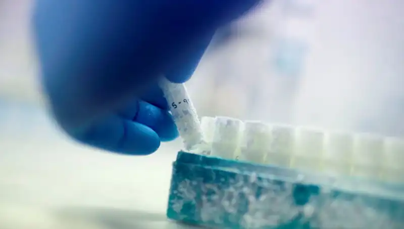 Tıbbi Felaket: 85 Sperm Donörü İle Binlerce Çocuğa Baba Olma Skandalı!