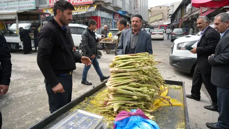 Dağlık Alanlardan Toplanan Şekerin Sağlık Faydaları ve Pazar Etkileri